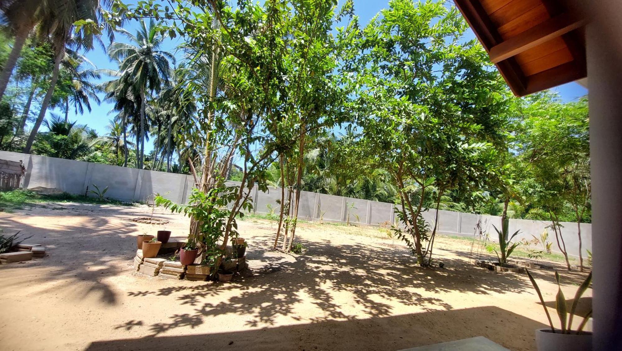 The Dream Inn Guesthouse Passikudah باتيكالوا المظهر الخارجي الصورة