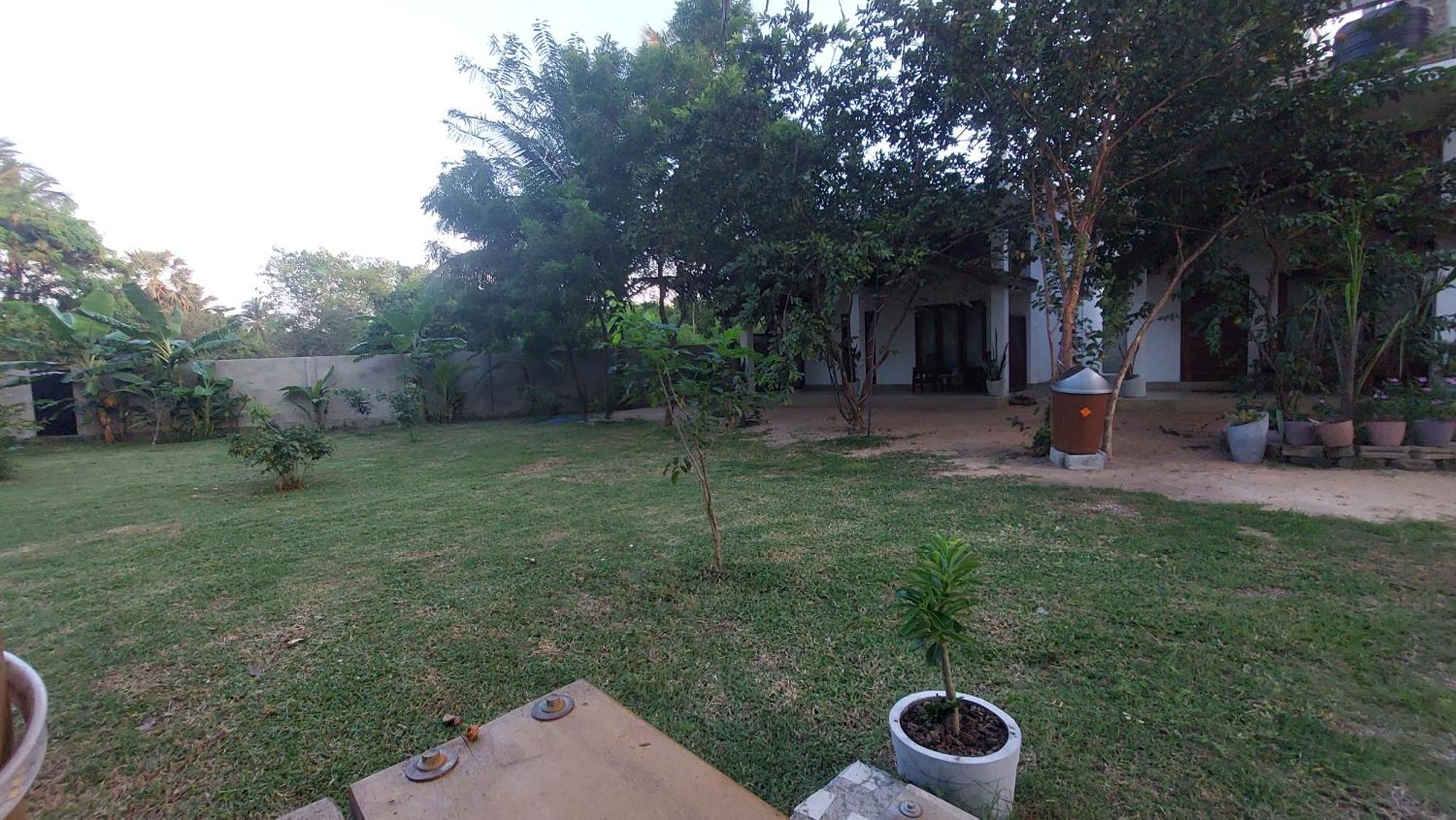 The Dream Inn Guesthouse Passikudah باتيكالوا المظهر الخارجي الصورة