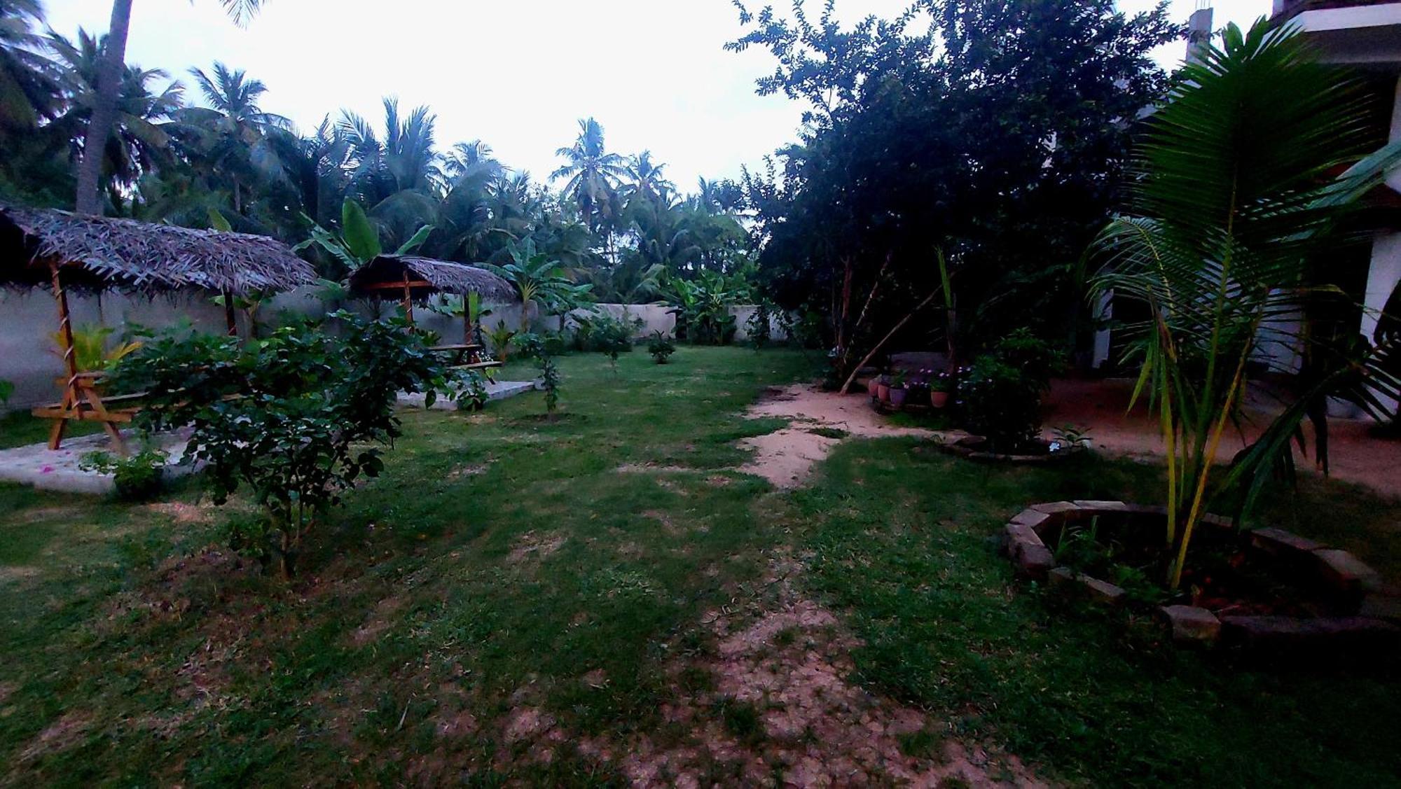 The Dream Inn Guesthouse Passikudah باتيكالوا المظهر الخارجي الصورة