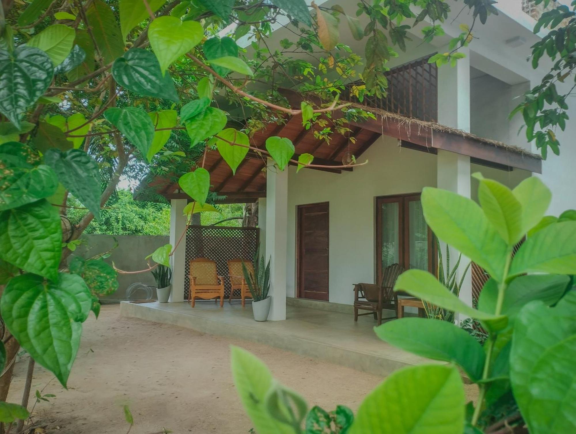 The Dream Inn Guesthouse Passikudah باتيكالوا المظهر الخارجي الصورة